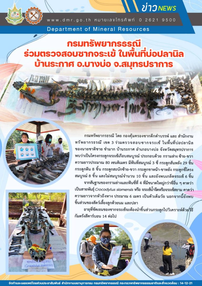 รูปภาพของกรมทรัพยากรธรณี