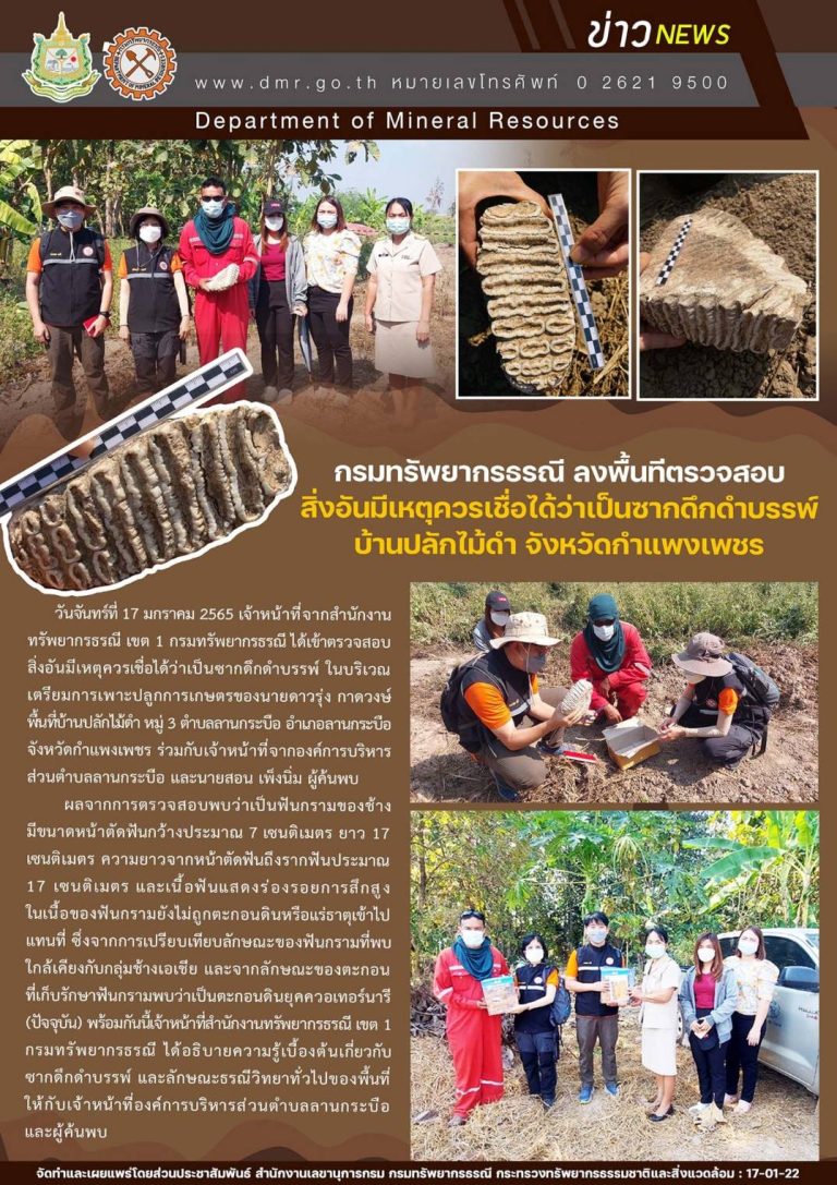 รูปภาพของกรมทรัพยากรธรณี