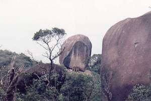 รูปภาพของกรมทรัพยากรธรณี